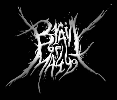 logo Brain Of Maggot